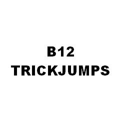 B12