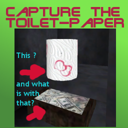 Capture the toiletpaper b1