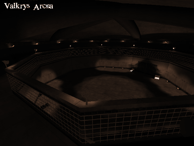 Dm arena