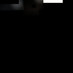 Document raid screenshot
