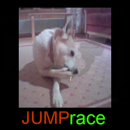 Jumprace screenshot
