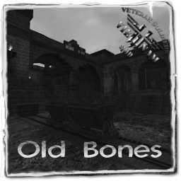 Old bones b1
