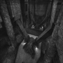 The well of youth beta