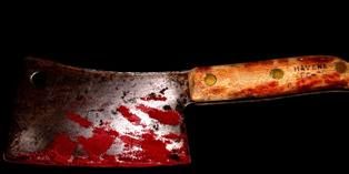 Cleaver