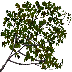 Eftrees new screenshot