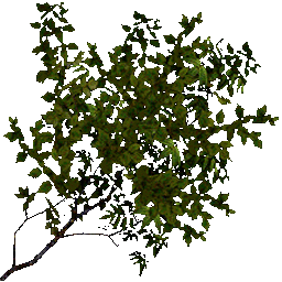 Eftrees new screenshot