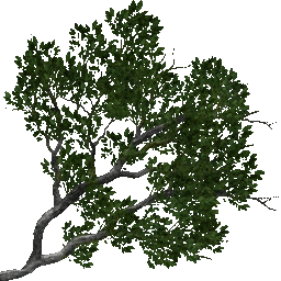 Eftrees new screenshot