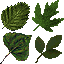Eftrees new screenshot