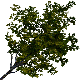 Eftrees new screenshot