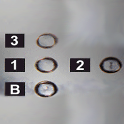 Elevator2 screenshot