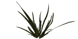 Foliagemodels screenshot