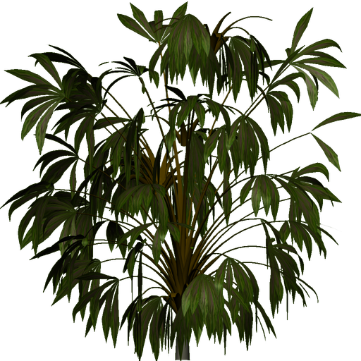 Jungle trees screenshot