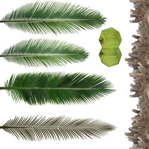 Jungle trees screenshot