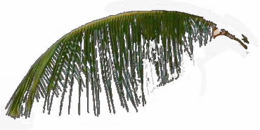 Jungle trees screenshot