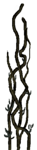 Jungle trees screenshot