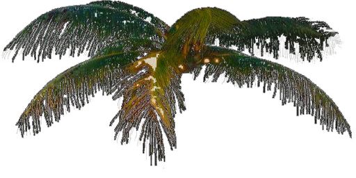 Jungle trees screenshot