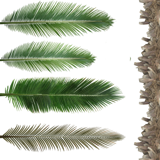 Jungle trees screenshot