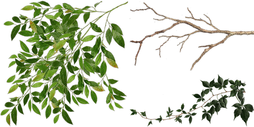 Jungle trees screenshot