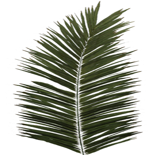 Jungle trees screenshot
