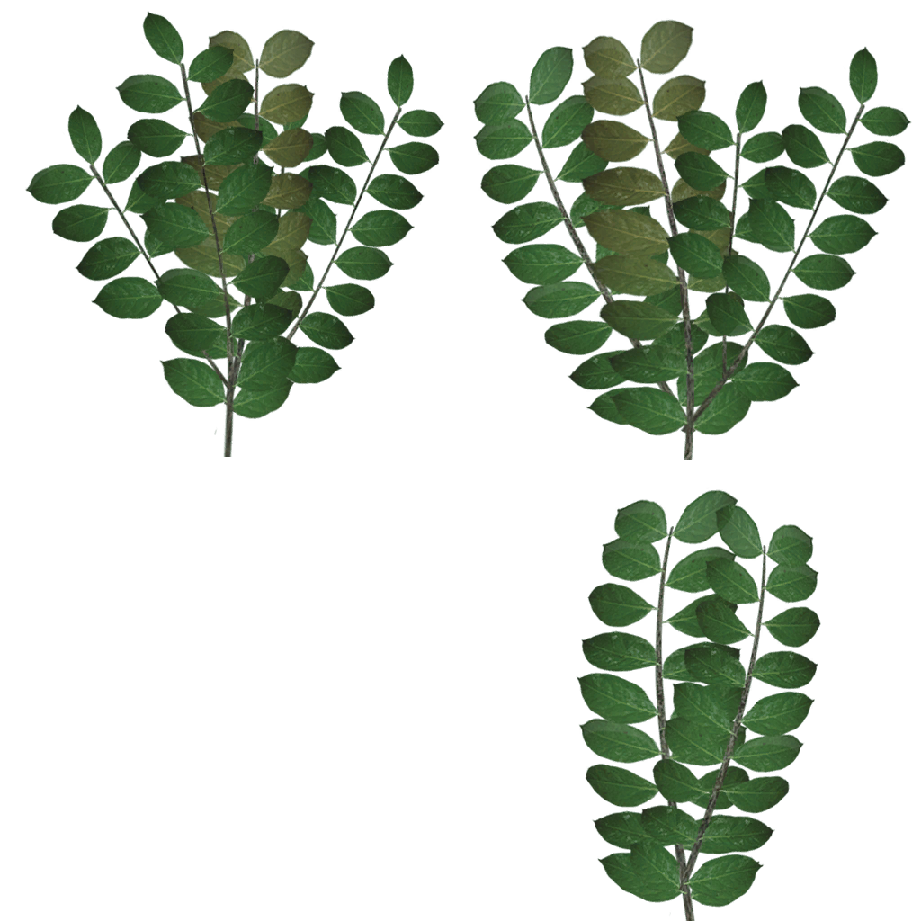 Jungle trees screenshot