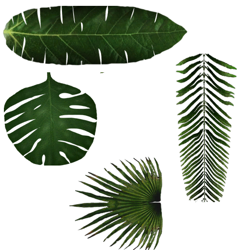 Jungle trees screenshot