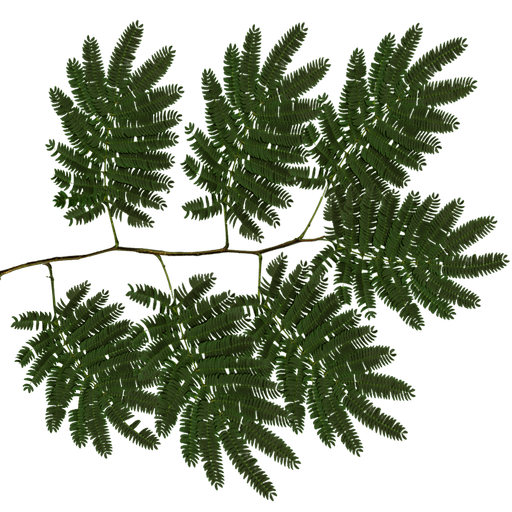 Jungle trees screenshot