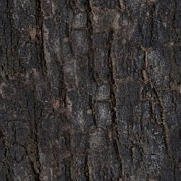 Kic trees screenshot