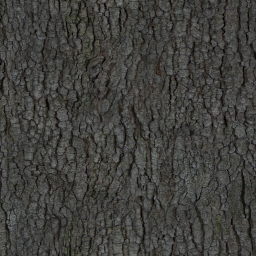 Kic trees screenshot