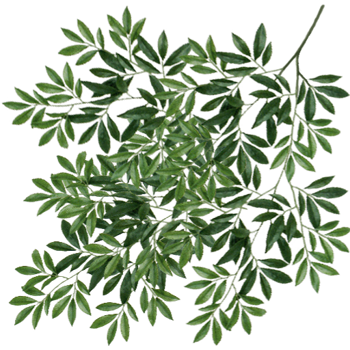 Kic trees screenshot
