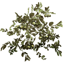 Kic trees screenshot