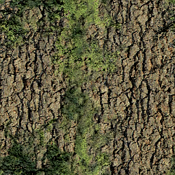 Kic trees screenshot