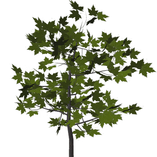 Kic trees screenshot