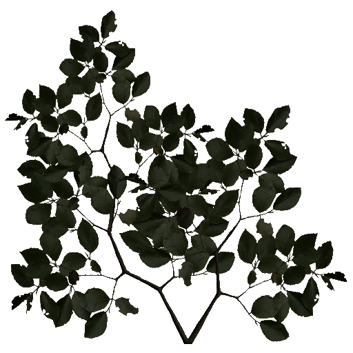 Kic trees screenshot
