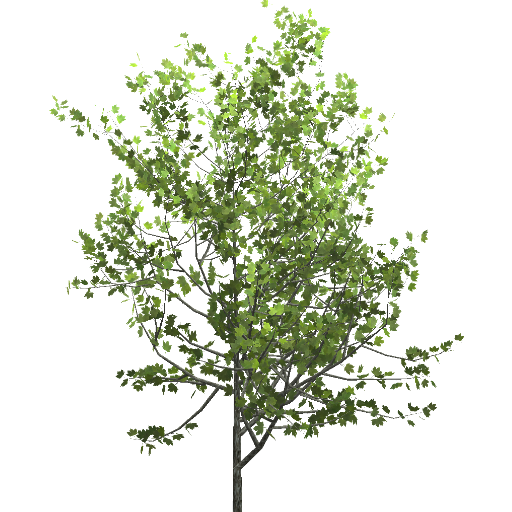 Kic trees screenshot