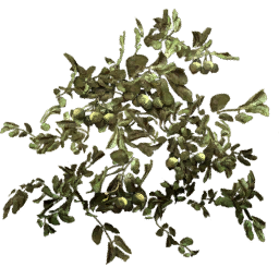 Kic trees screenshot