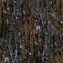 Kic trees screenshot
