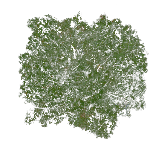 Kic trees screenshot