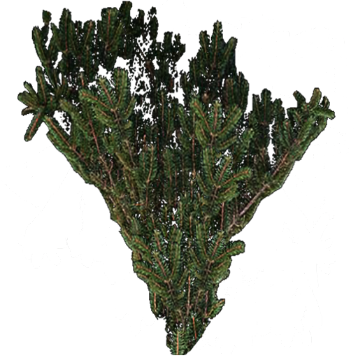 Kic trees screenshot