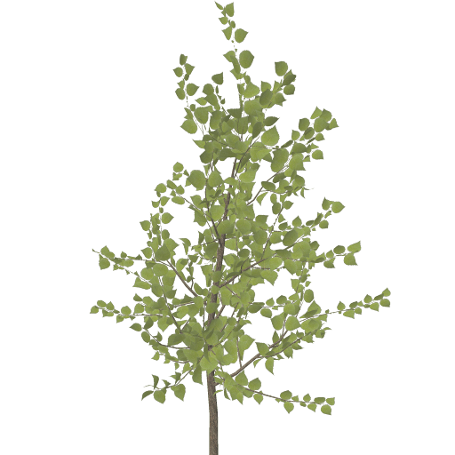 Kic trees screenshot