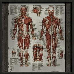 Morgue
