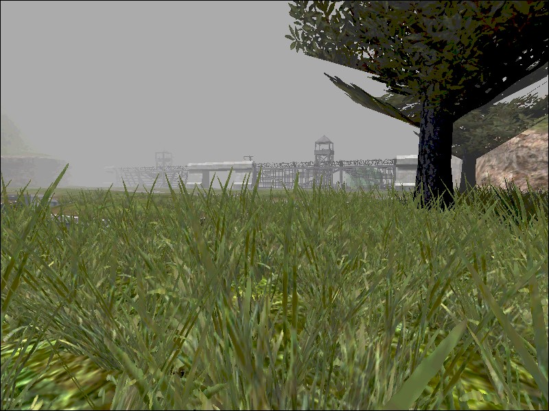 New foliage models