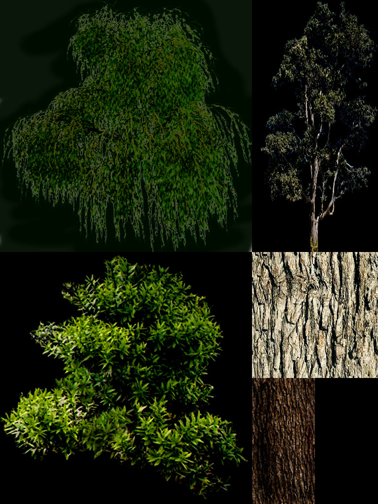 Realistic trees