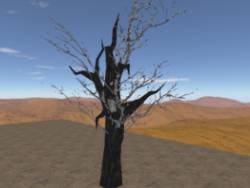 Smoking tree