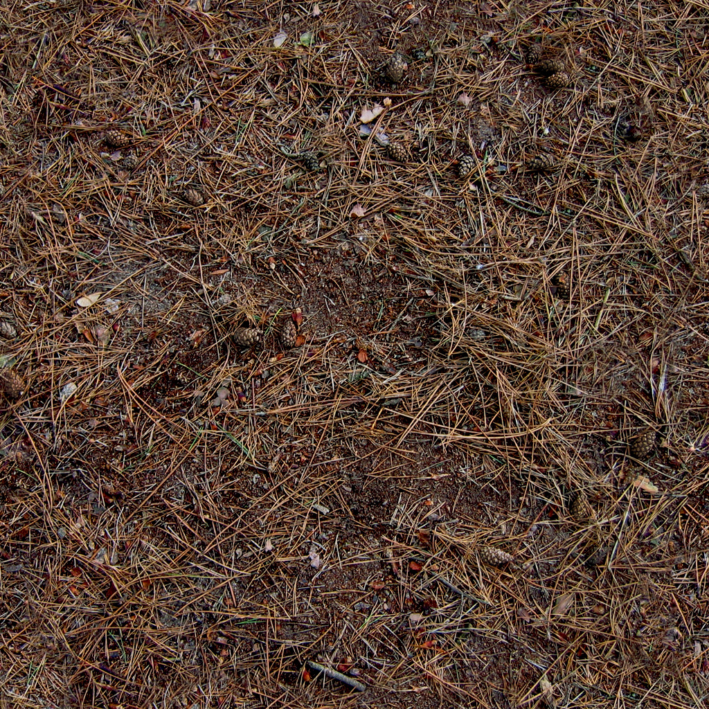 Textures nature screenshot