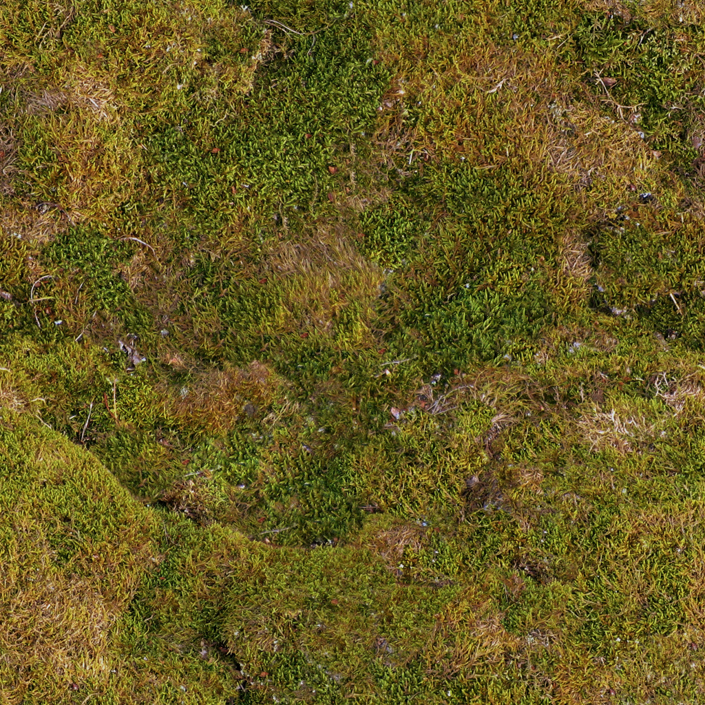 Textures nature screenshot