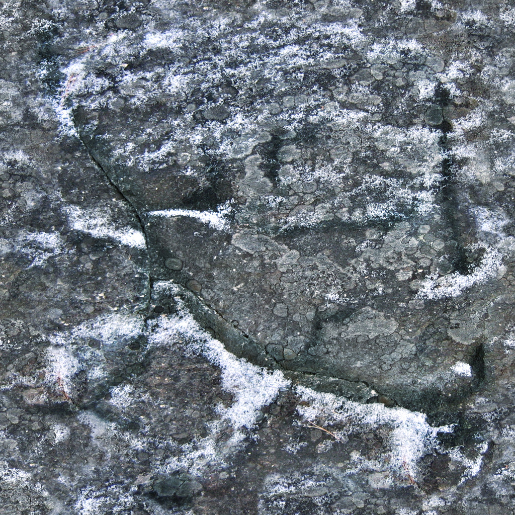 Textures nature