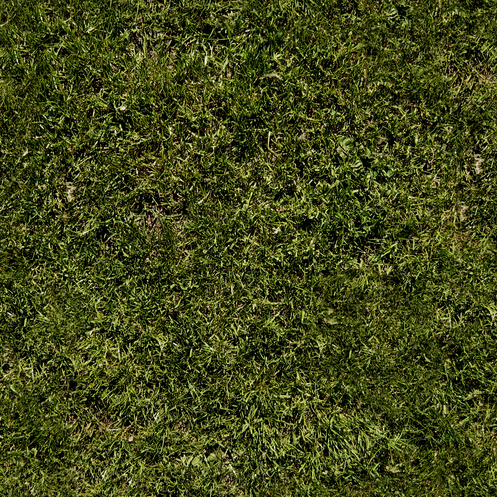 Textures nature screenshot