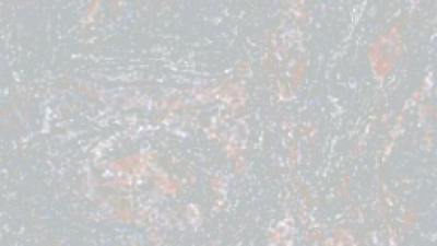 Textures photorealistic screenshot