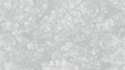 Textures photorealistic screenshot