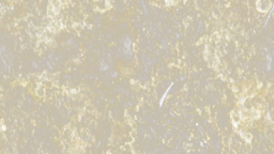Textures photorealistic screenshot